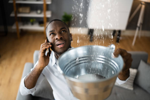 Best Professional water damage repair  in Southside, AR