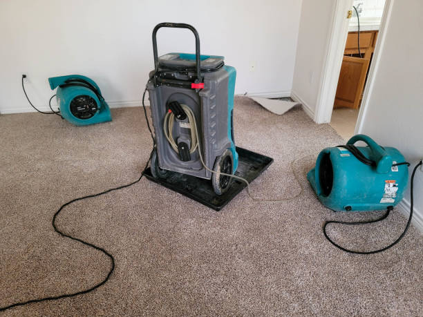 Best Ceiling water damage repair  in Southside, AR