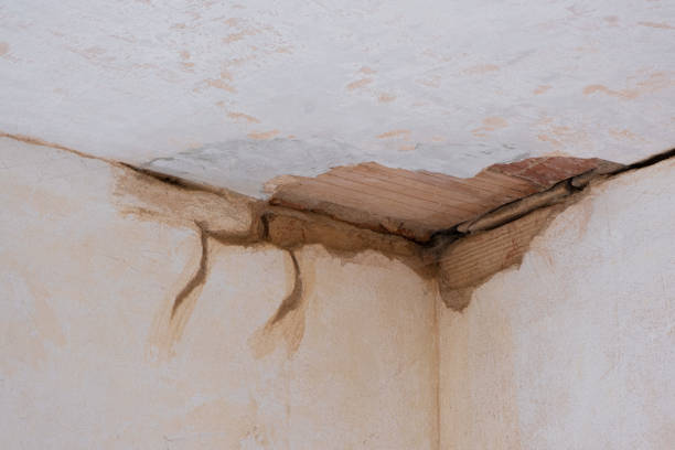 Best Residential water damage restoration  in Southside, AR