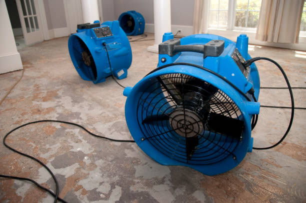 Best Water damage contractors near me  in Southside, AR