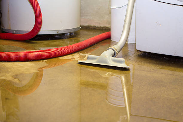 Best Basement water damage restoration  in Southside, AR