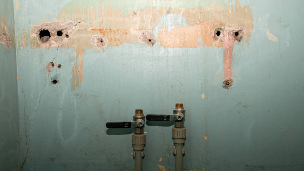 Best Water damage restoration near me  in Southside, AR