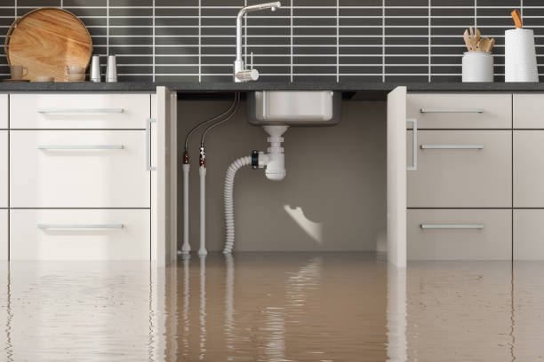 Best Water damage restoration near me  in Southside, AR