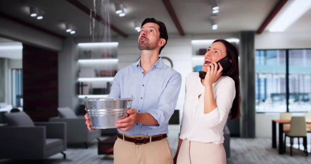 Best Flooded house restoration  in Southside, AR