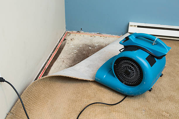 Best Emergency water damage restoration  in Southside, AR